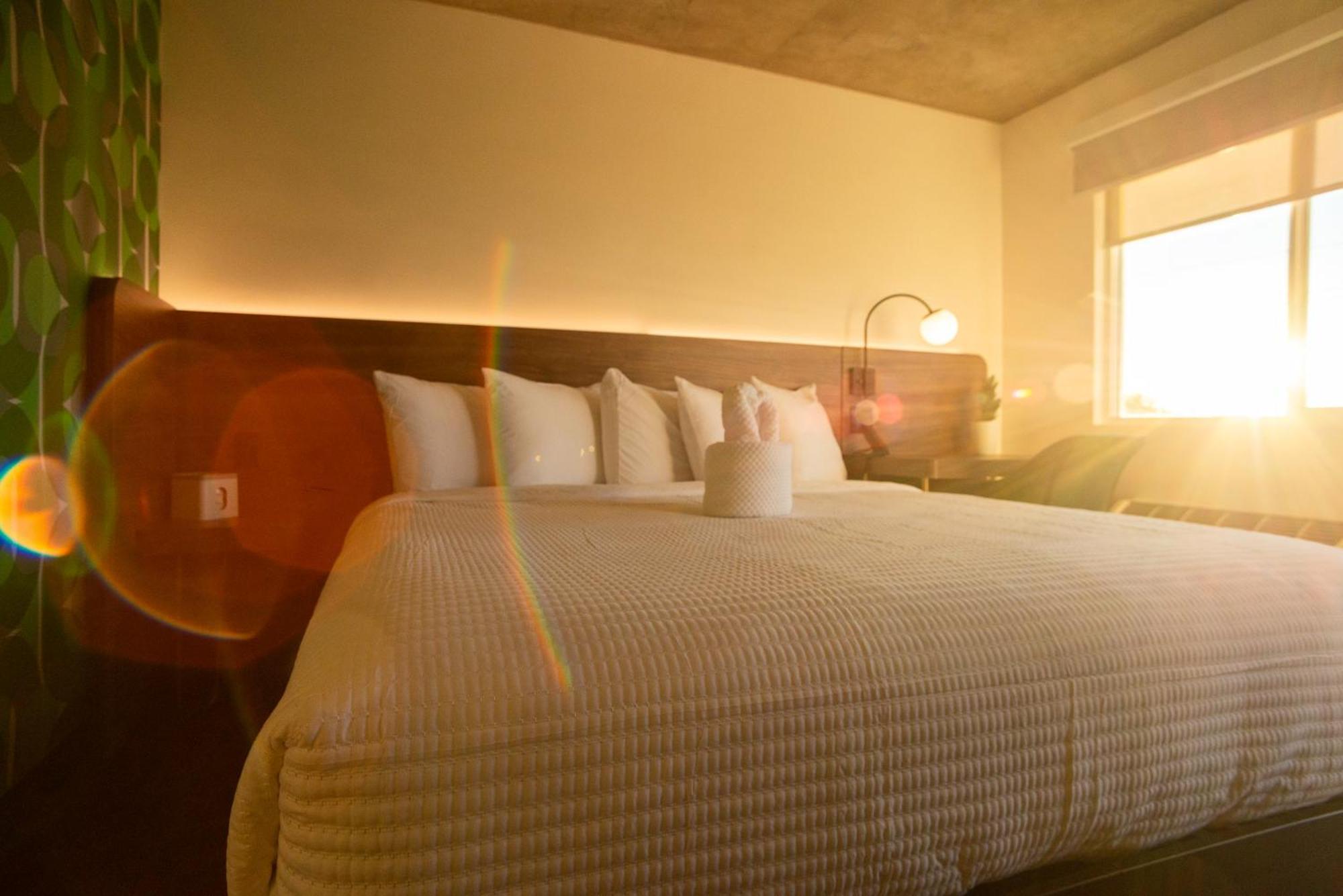The Alice Hotel ツーソン エクステリア 写真
